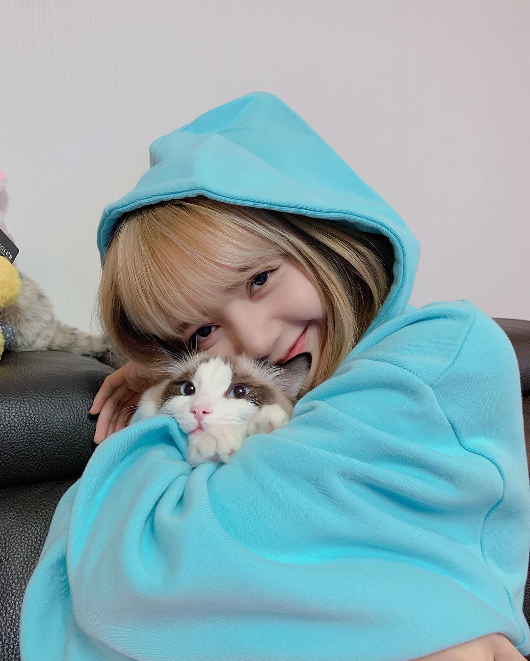 [blackpink][分享]190206 lisa公开与伴侣猫的合照 治愈心情的"可爱